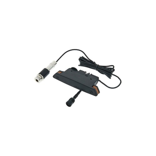 Fishman rare earth mic - fishman,