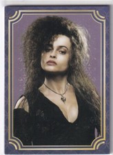 Panini Harry Potter Evolution