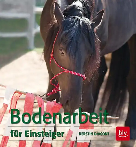 Bodenarbeit für einsteiger - bodenarbeit,