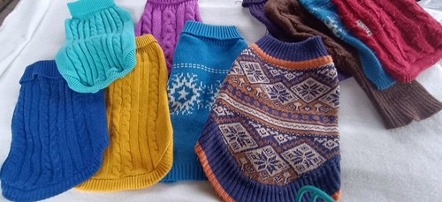 10x hundepullover wolters set - hundepullover,