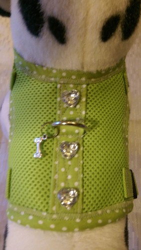 Hundegeschirr mit glitzer - s,