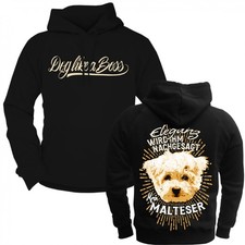 Herren Kapuzenpul​lover