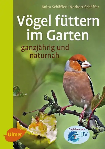 Vögel füttern garten - vögel, im