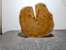 Groß,Baumscheibe,Holzscheibe