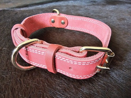 Hundehalsband leder breit - hundehalsband, rot