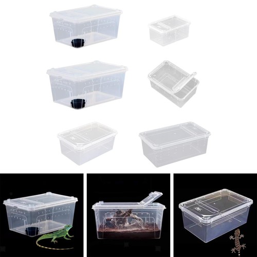 Transparente terrarium habitat - transparente,