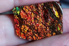 Drachenschuppen Ammolit mit