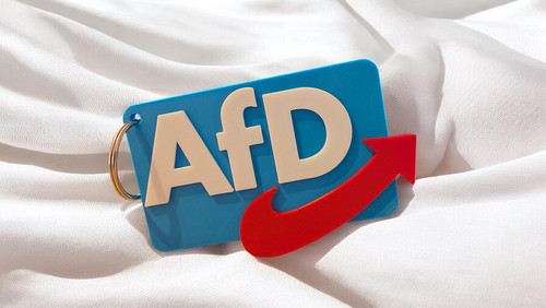 Afd schlüsselanhänger - afd,