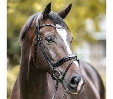 % Kavalkade Trense Ivana Lack