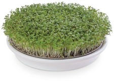 Eschenfelder Kressesieb Keramikschale mit Edelstahlsieb