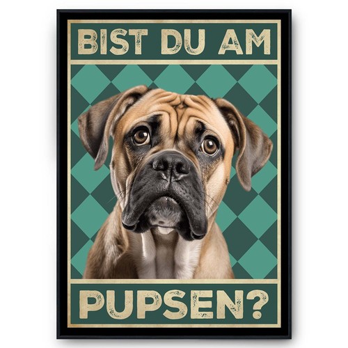 Bullmastiff bist du - bist,