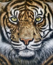 Gemälde.Tiger Tierportrait 40x50 cm. Pastellzeichnung