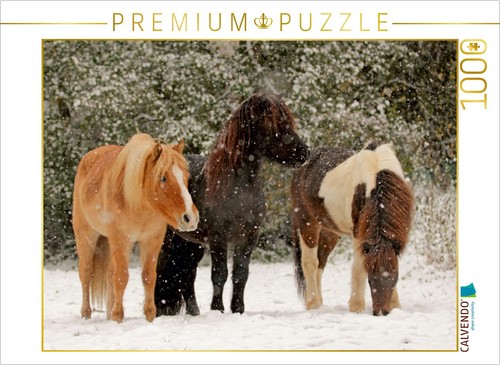 Calvendo puzzle ein - ein, motiv