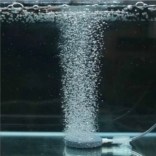 2025 neu aquarium - neu,