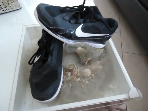 Herrenschuhe nike top - 43,