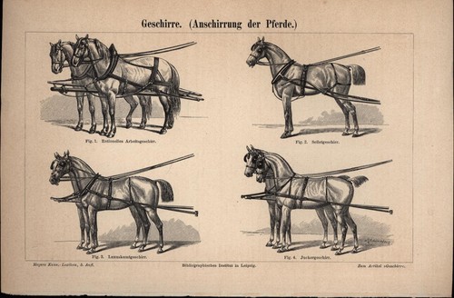 Geschirre anschirrung der - "geschirre,