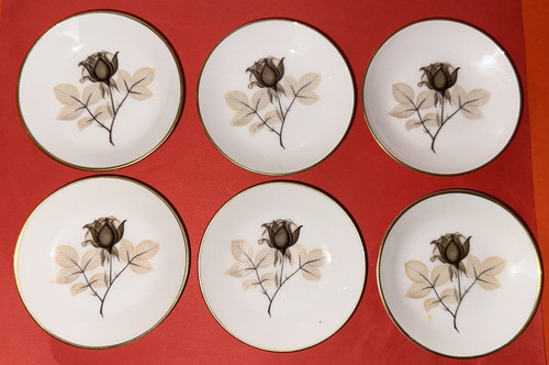 Rosenthal schattenrose - rosenthal,