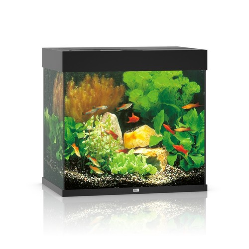 Aquarium juwel lido - aquarium, 120