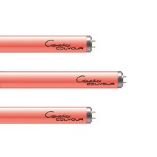 Cosmedico Cosmolux COLYOUR RED Premium R 30 100W Solarium Sonnenbank Röhre Lampe