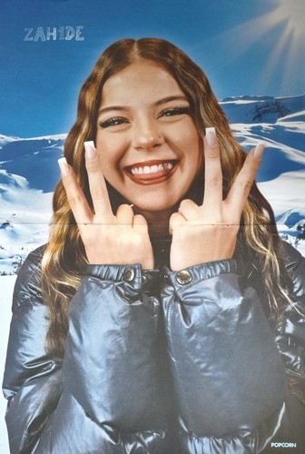 Zah1de poster 42x28cm - poster,