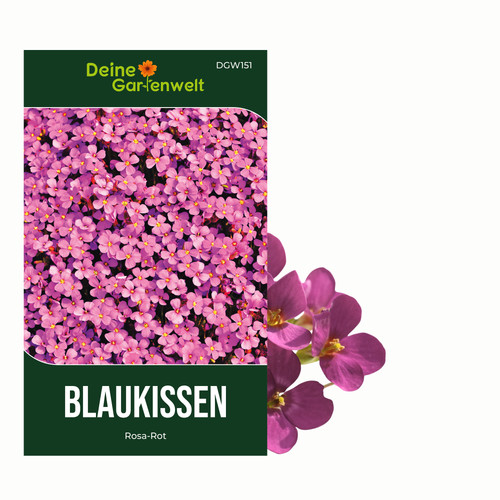 Blaukissen rosa rot samen - blaukissen,