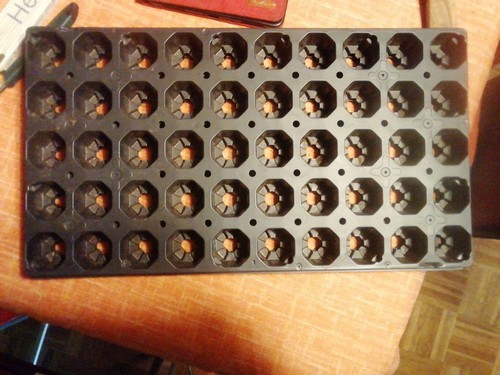 Topfplatten paket 10st - 10st, 50