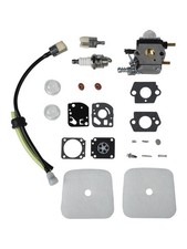 Vergaser für Garten