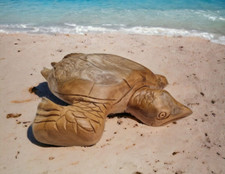 Holz Meeres Schildkröte Teak