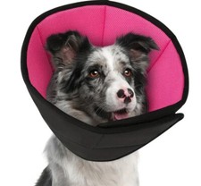 Halskrause für Hund 