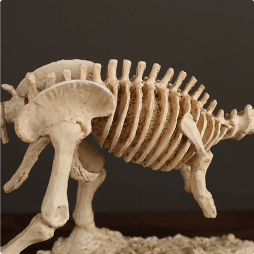 Tyrannosaurus rex skelett - tyrannosaurus,