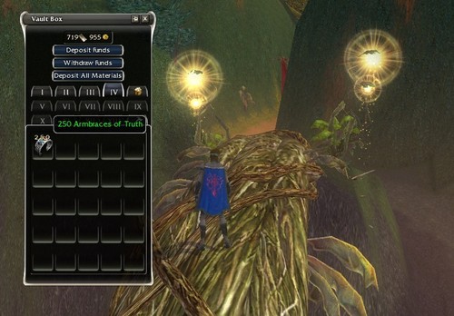 Guild wars 50 armbraces of - 1,