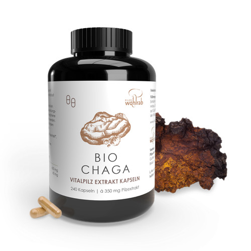 Pilze wohlrab chaga extrakt - wohlrab, |