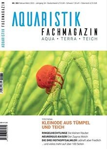 Jetzt neuen layout - jetzt,