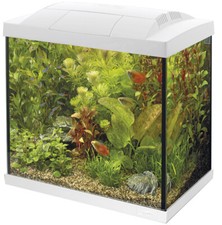 SF Tropical Set 50 Aquarium weiß inkl. Filter, Heizer, Wasseraufbereiter, Kesche