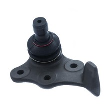 Traggelenk vorne rechts unten