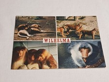 #R45-2 Ansichtskarte Postkarte Wilhelma 22.10.90 Stuttgart Bad Cannstatt