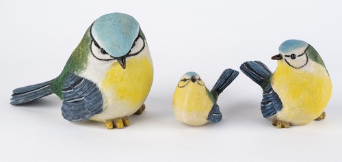 Meise blaumeise familie - blaumeise,
