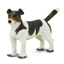 Jack russell terrier dog - jack,
