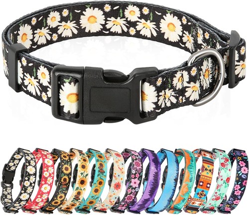 Heele hundehalsband hunde - hundehalsband,,