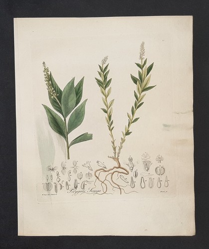 Kupferstich 1835 text - kupferstich, 1835+text