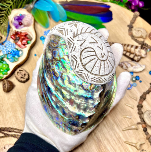 Moana abalone shell - shell,