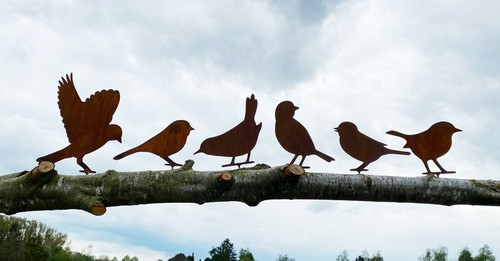 6er set vögel zum - set,