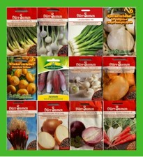 Saatgut Zwiebel Steckzwiebeln