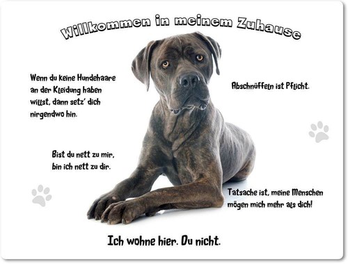 Warnschild 20x30cm - warnschild,