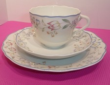 Hutschenreuther  Hofgarten   1