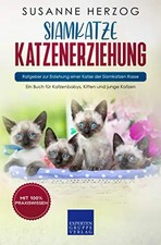 Siamkatze Katzenerziehung -