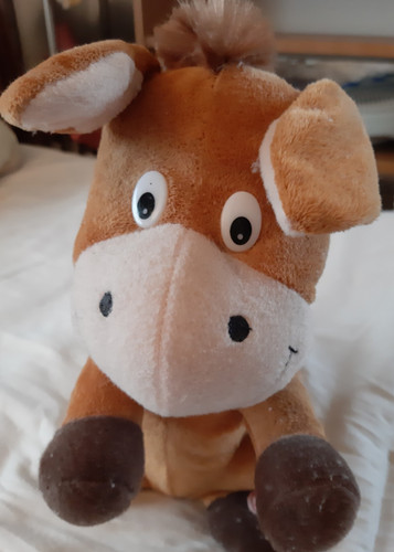 Pferd tanzendes singendes - pferd,, tanzendes,