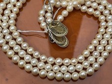 1 Strang japanische Salzwasser