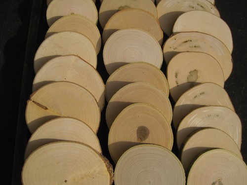 Holzscheiben esche 8 10 - 25, x