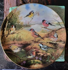 Sammelteller Tirschenreuth